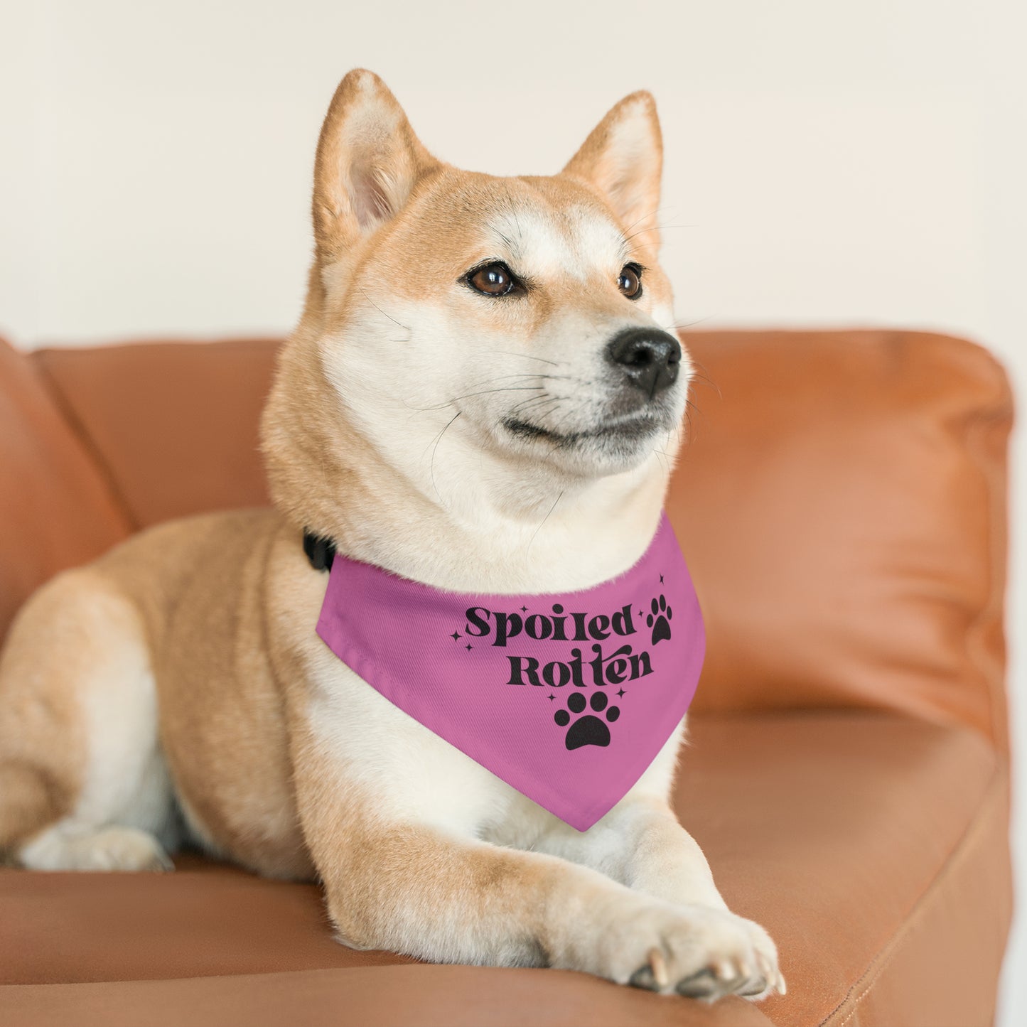 Pet Bandana Collar