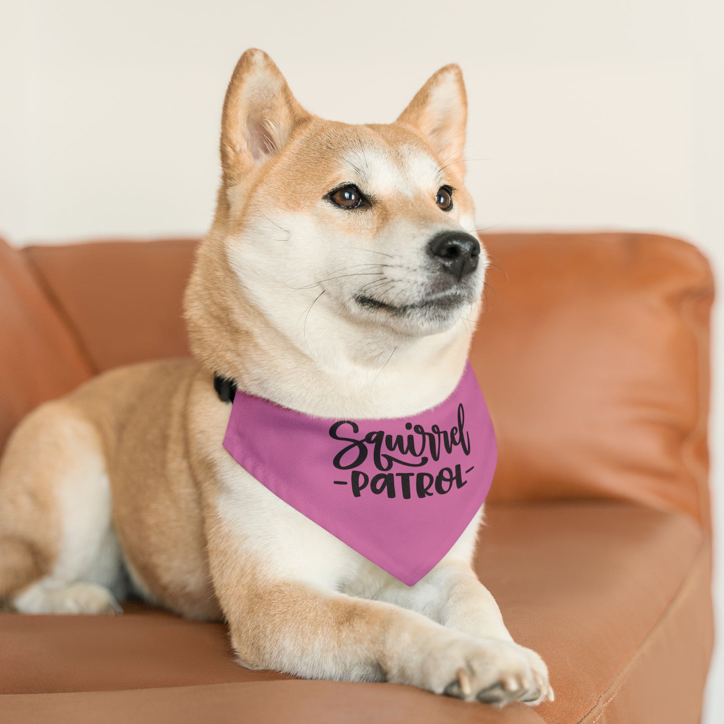 Pet Bandana Collar