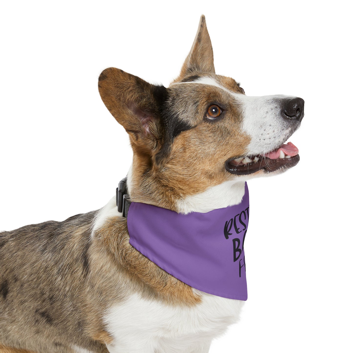 Pet Bandana Collar