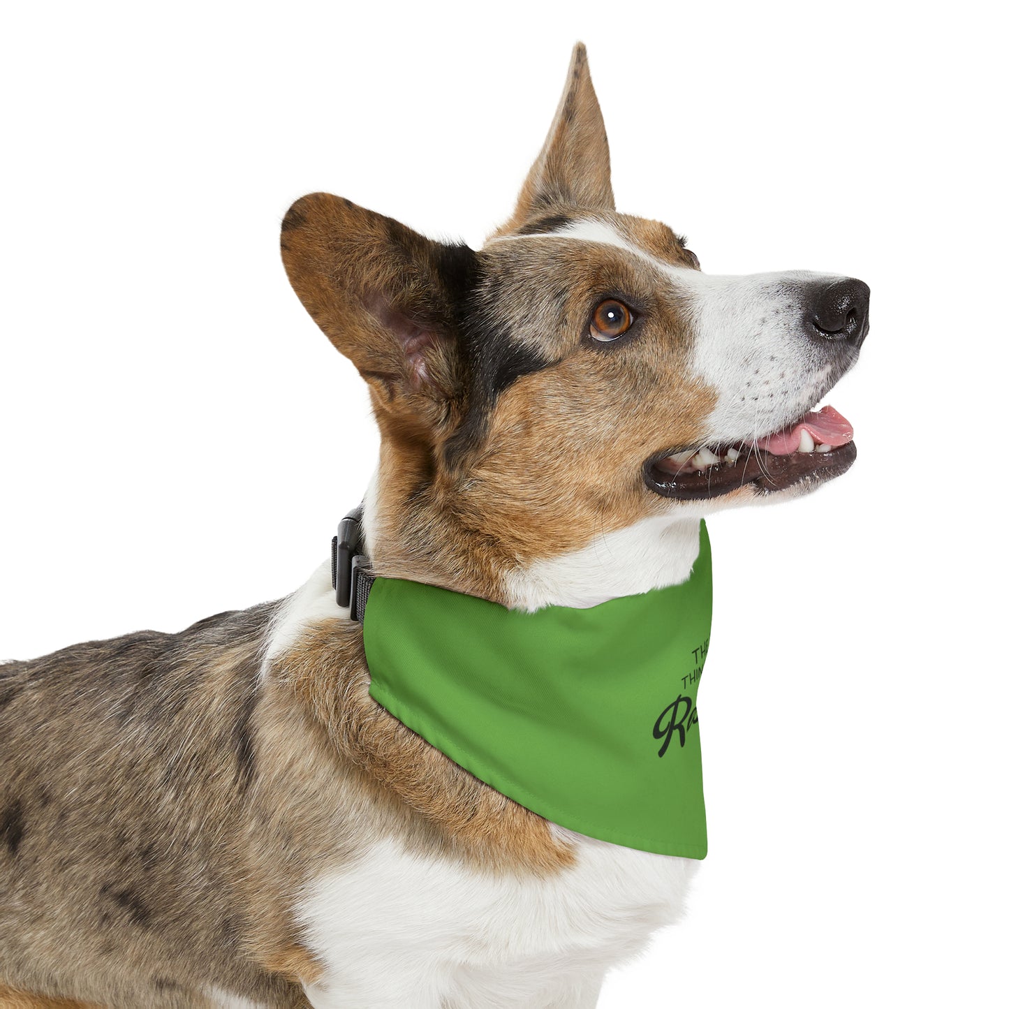 Pet Bandana Collar