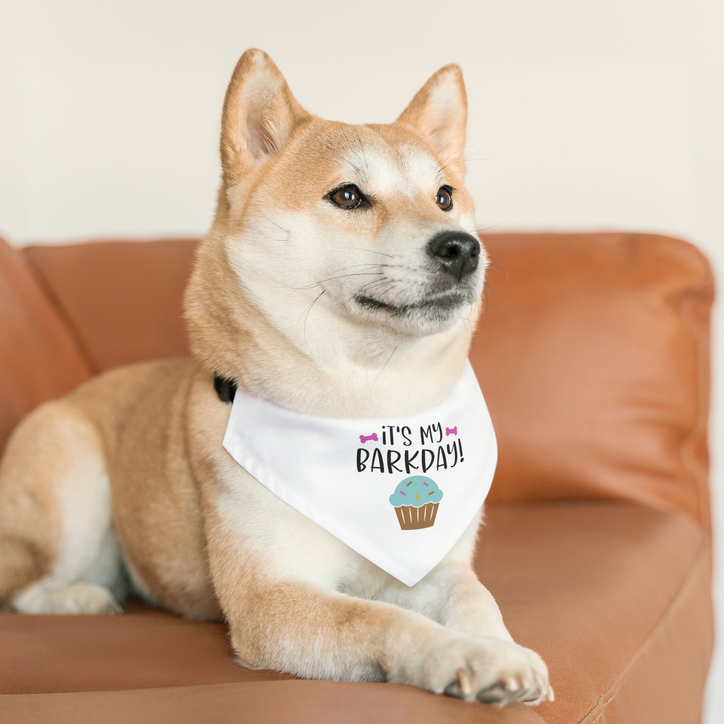 Pet Bandana Collar