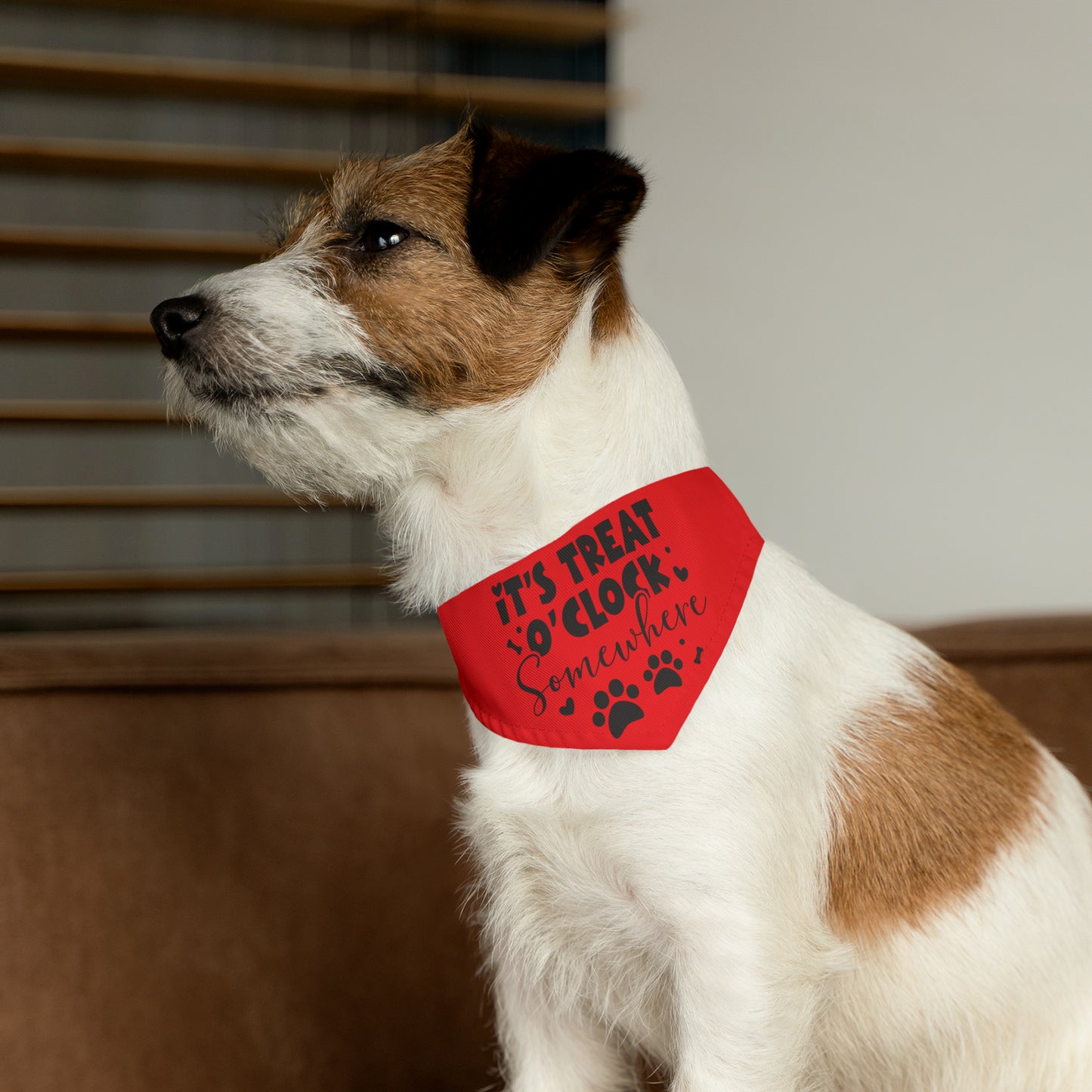 Pet Bandana Collar