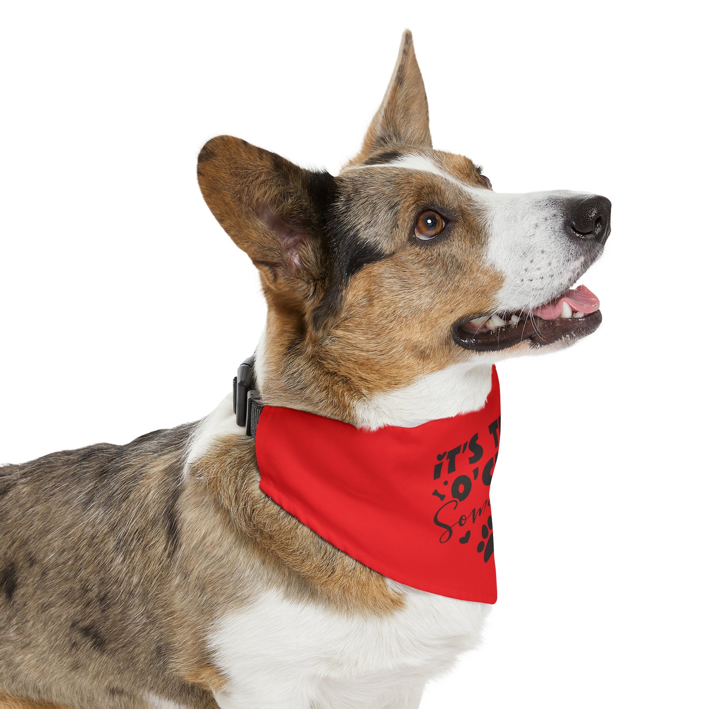 Pet Bandana Collar